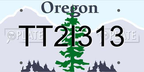 TT2I313 Oregon License Plate