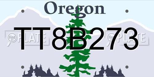 TT8B273 Oregon License Plate