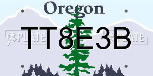 TT8E3B Oregon License Plate