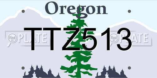 TTZ513 Oregon License Plate
