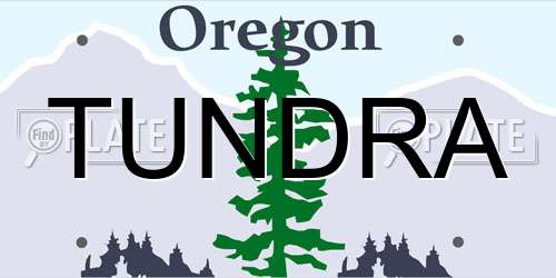 TUNDRA Oregon License Plate