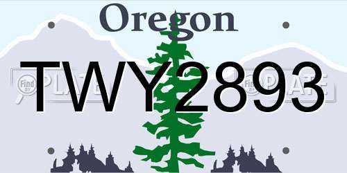 TWY2893 Oregon License Plate