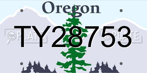 TY28753 Oregon License Plate