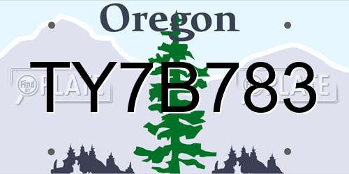 TY7B783 Oregon License Plate
