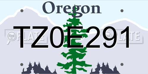 TZ0E291 Oregon License Plate