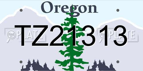 TZ21313 Oregon License Plate