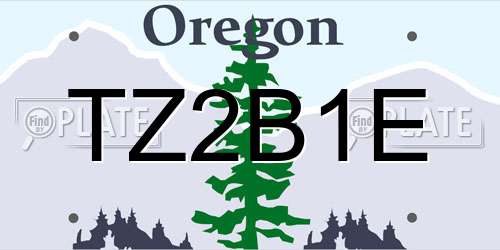 TZ2B1E Oregon License Plate