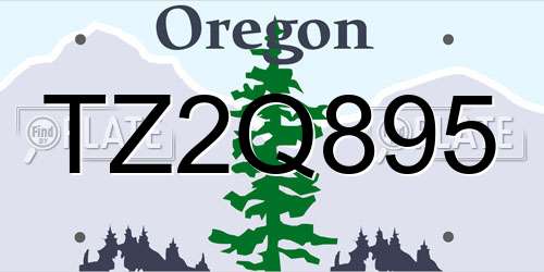 TZ2Q895 Oregon License Plate