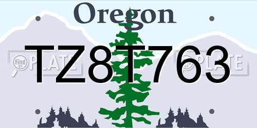 TZ8T763 Oregon License Plate