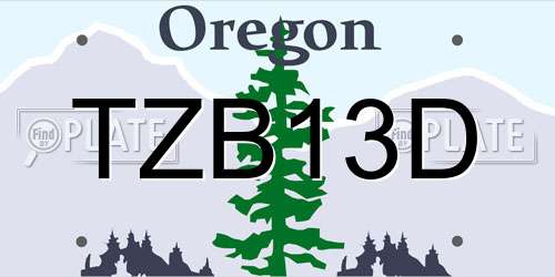 TZB13D Oregon License Plate