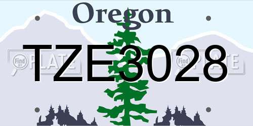 TZE3028 Oregon License Plate