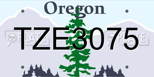 TZE3075 Oregon License Plate