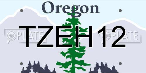 TZEH12 Oregon License Plate