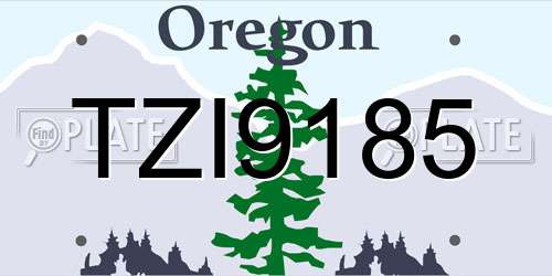 TZI9185 Oregon License Plate