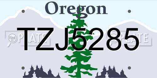 TZJ5285 Oregon License Plate