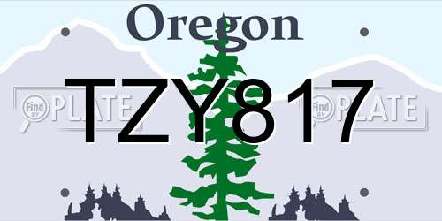 TZY817 Oregon License Plate