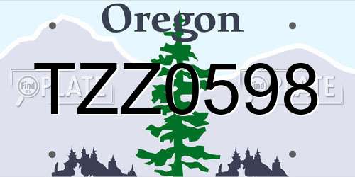 TZZ0598 Oregon License Plate