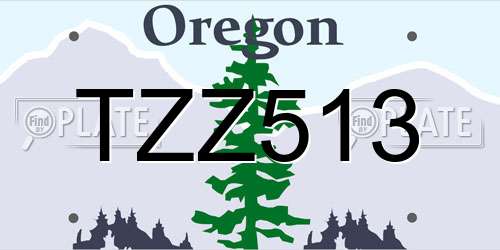 TZZ513 Oregon License Plate