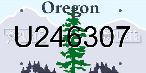 U246307 Oregon License Plate