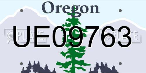 UE09763 Oregon License Plate