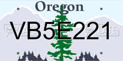 VB5E221 Oregon License Plate