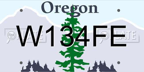 W134FE Oregon License Plate