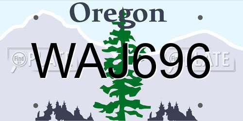 WAJ696 Oregon License Plate