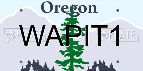 WAPIT1 Oregon License Plate