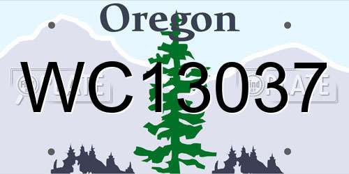 WC13037 Oregon License Plate