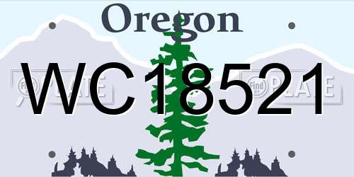 WC18521 Oregon License Plate