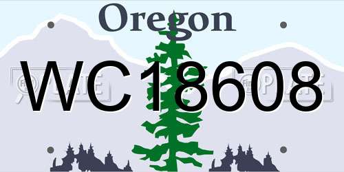 WC18608 Oregon License Plate