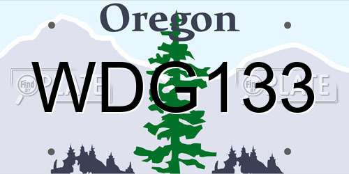 WDG133 Oregon License Plate