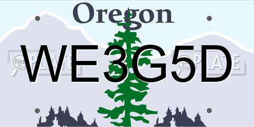 WE3G5D Oregon License Plate