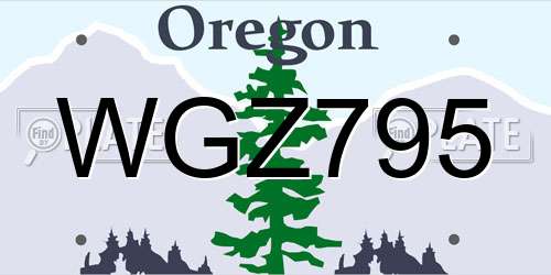 WGZ795 Oregon License Plate