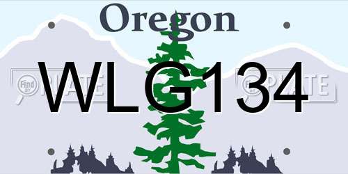 WLG134 Oregon License Plate