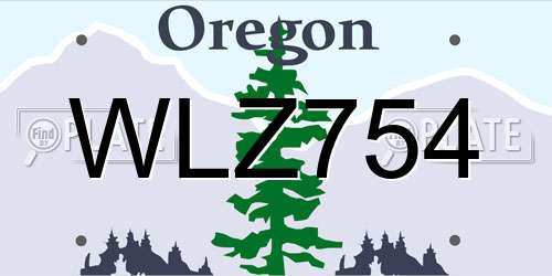 WLZ754 Oregon License Plate