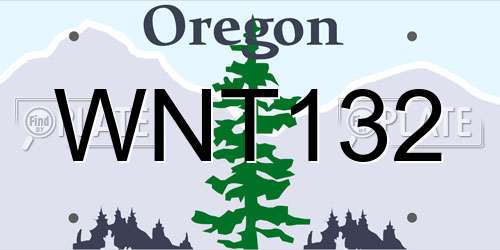 WNT132 Oregon License Plate