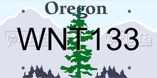 WNT133 Oregon License Plate