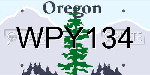 WPY134 Oregon License Plate