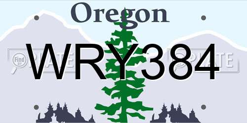 WRY384 Oregon License Plate