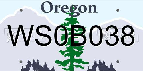 WS0B038 Oregon License Plate