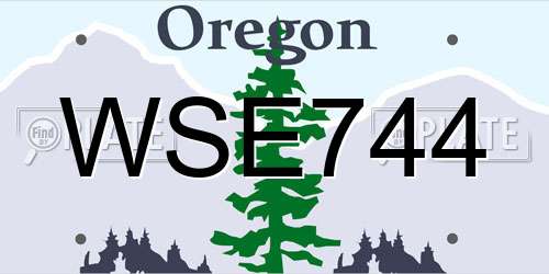 WSE744 Oregon License Plate