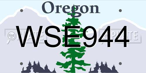 WSE944 Oregon License Plate