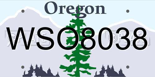 WSO8038 Oregon License Plate