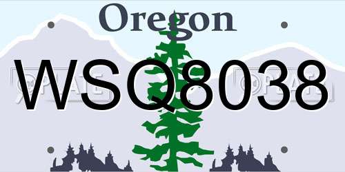 WSQ8038 Oregon License Plate