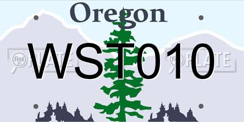 WST010 Oregon License Plate