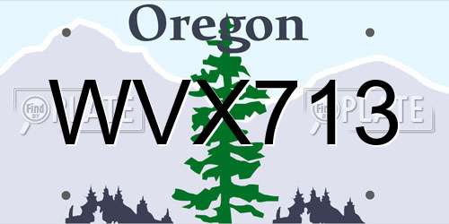 WVX713 Oregon License Plate