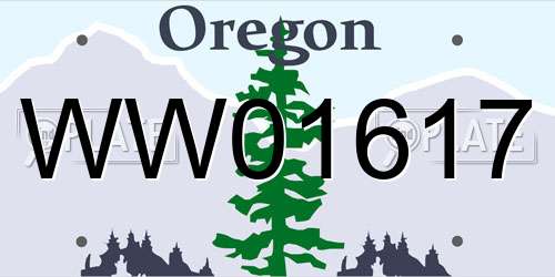 WW01617 Oregon License Plate
