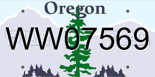 WW07569 Oregon License Plate
