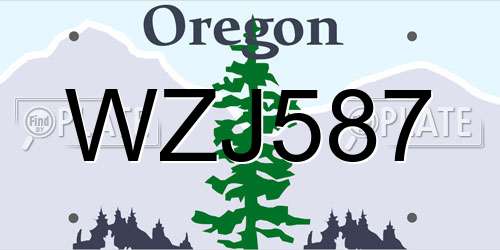 WZJ587 Oregon License Plate
